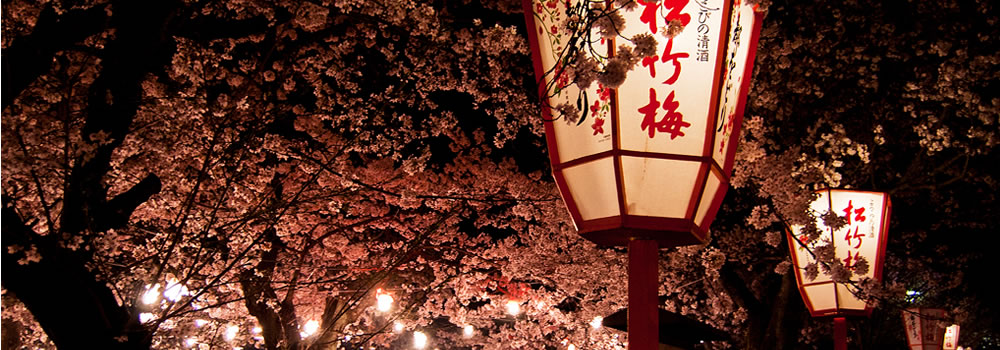 Hanami 2015, il giardino giapponese a Roma